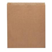 Castaway Paper Bag No. 3 Flat Sandwich 200X235mm Brown Carton 500