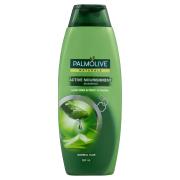 Palmolive 1529658 Naturals Shampoo Active Nourishment 350ml