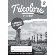 Tricolore Grammar In Action Workbook 2 5e