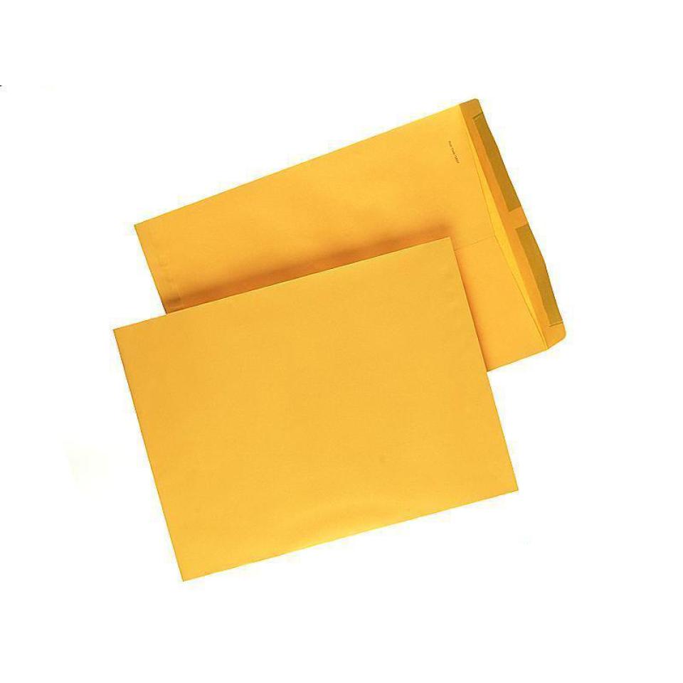 Tudor Gold Plainface Envelopes Pocket Peel-N-Seal 405X305mm Each | Winc