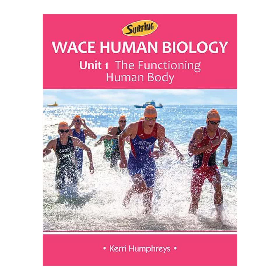 Surfing Wace Human Biology Unit 1 The Functioning Human Body Image