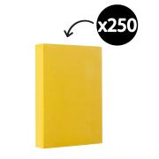 Winc Premium Coloured Cover Paper A4 110gsm Yellow Pack 250