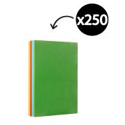 Winc Premium Coloured Cover Paper A3 110gsm 10 Assorted Colours Pack 250