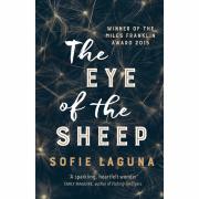 The Eye Of The Sheep